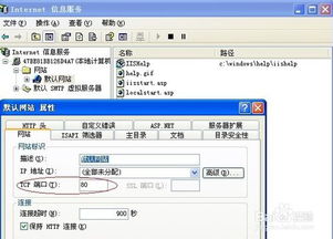如何解決互聯(lián)網信息服務中默認網站停止的問題